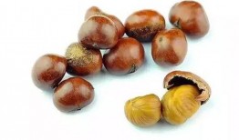 雪山大瓜栗子怎么吃,解锁美味新食法