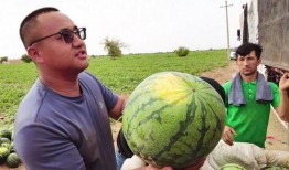 陈凯吃瓜,揭秘娱乐圈幕后真相