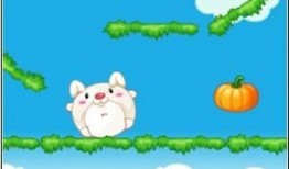 兔子吃秋瓜,兔子欢享美味时光