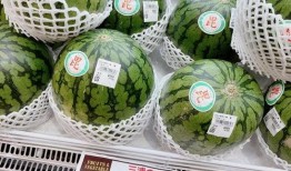 公司吃瓜照片,吃瓜照片里的温馨瞬间