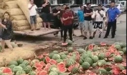 龙城广场吃瓜事件,一场引发热议的街头冲突纪实