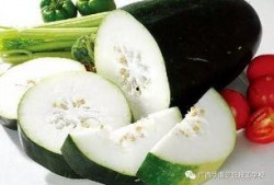 吃瓜华南,探寻美食与文化的独特魅力