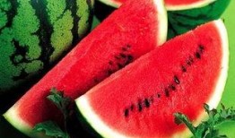 吃瓜可以变瘦吗,揭秘瓜果中的瘦身秘密