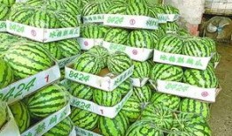 吃瓜华南,探寻美食与文化的独特魅力