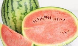 吃鲜瓜拉肚子,小心腹泻困扰