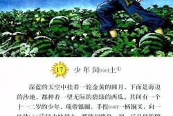 吃瓜吃瓜我就是猹,揭秘网络热词背后的故事