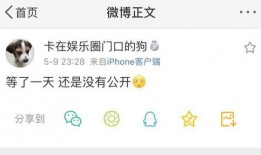 吃瓜号语音,一场语音盛宴的幕后故事