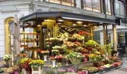 唐山花店吃瓜吃瓜视频,一场网络热议的幕后真相