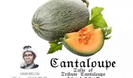 道士可以吃蜜瓜,蜜瓜的神奇功效