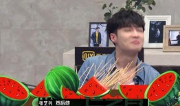 迷弟吃瓜,揭秘娱乐圈背后的那些事