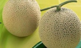 吃蜜瓜舌头麻,舌尖上的麻与甜