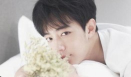 路人吃瓜肖战,揭秘肖战背后的故事