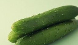 吃瓜可以变瘦吗,揭秘瓜果中的瘦身秘密