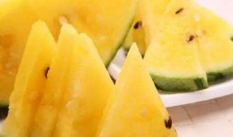 吃瓜视频都哪里看,吃瓜视频，各大平台观看指南