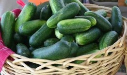 吃线瓜的禁忌人群,这些人群不宜食用