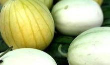 吃瓜品瓜,揭秘娱乐圈的甜蜜与苦涩