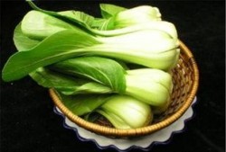 小透明吃瓜菜菜