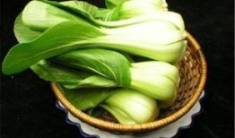 小透明吃瓜菜菜