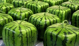 吃瓜视频都哪里看,吃瓜视频，各大平台观看指南